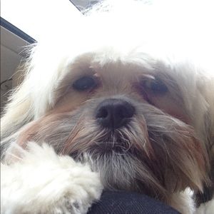 Meet your Posher, Joi